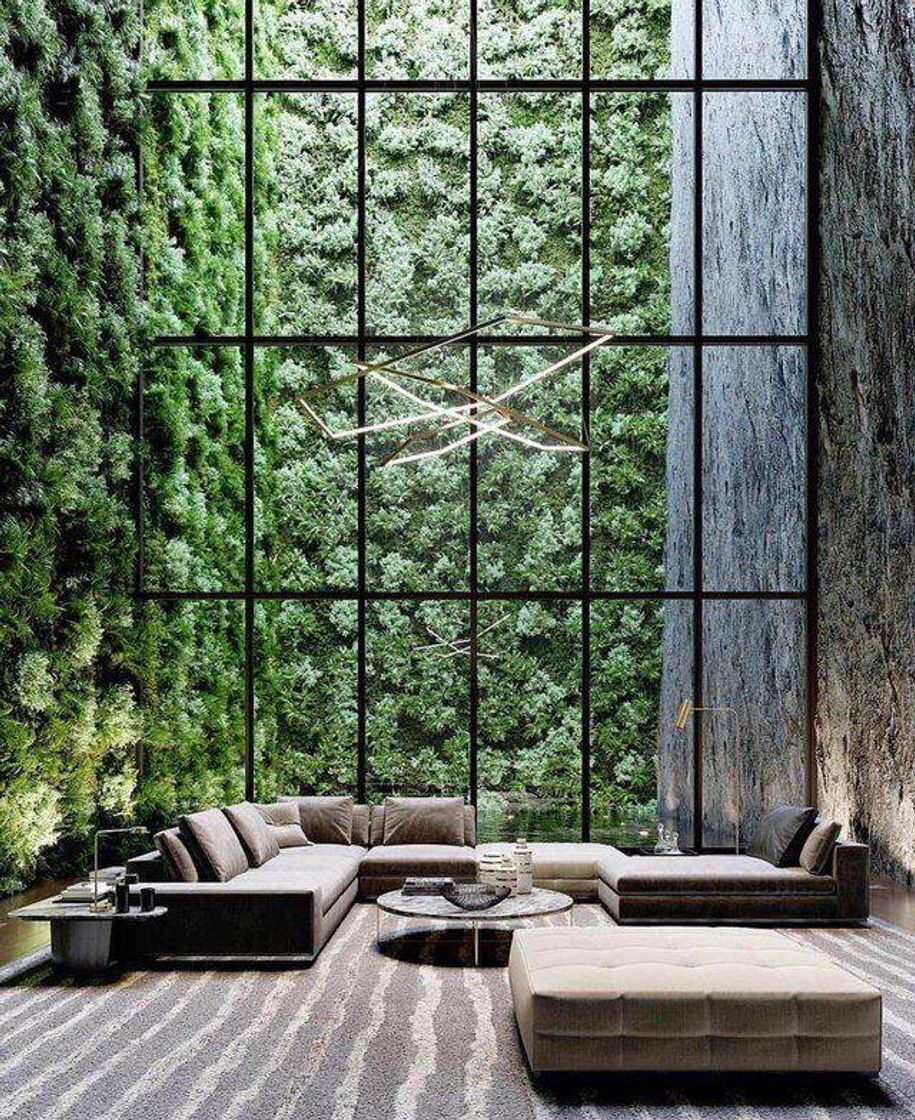 Fashion Wall Garden