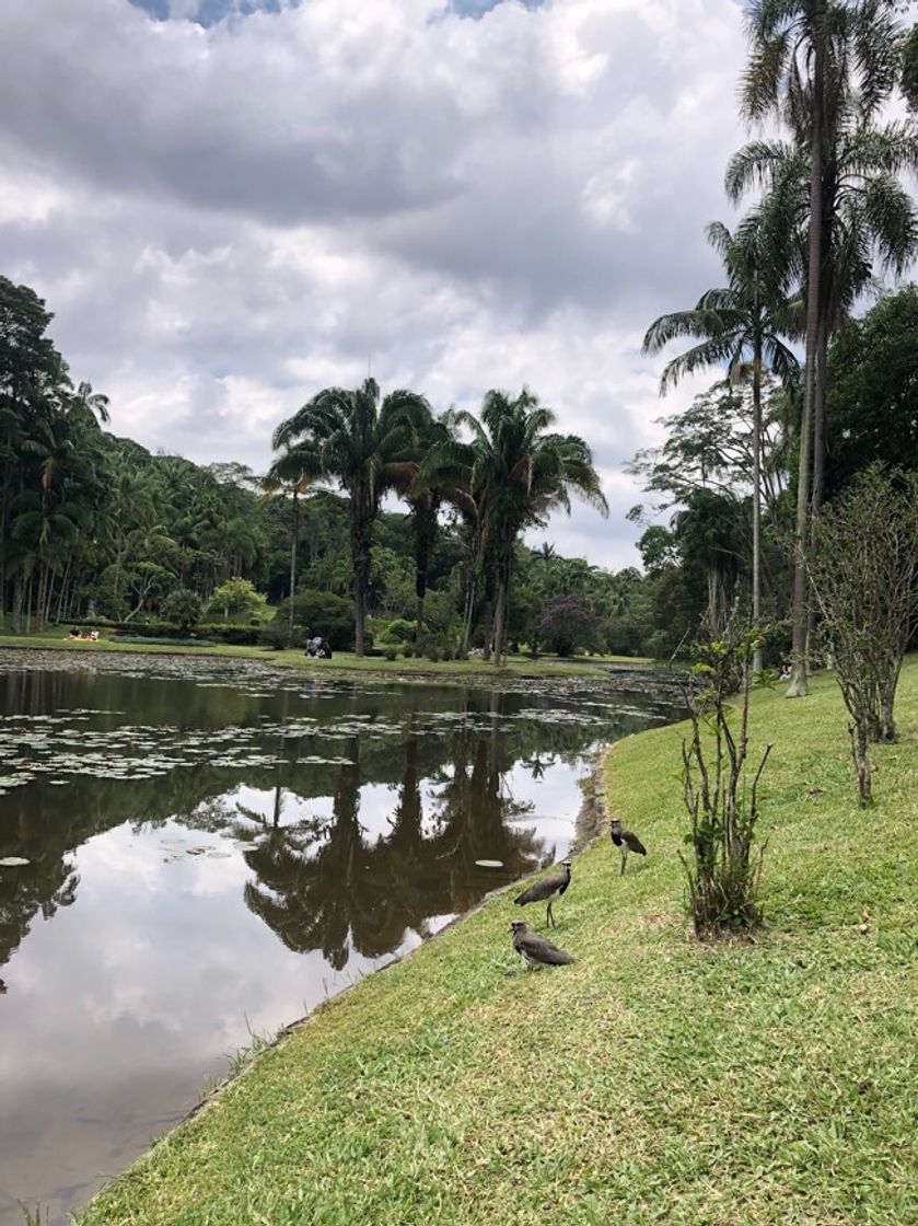 Moda | Jardim Botânico de São Paulo