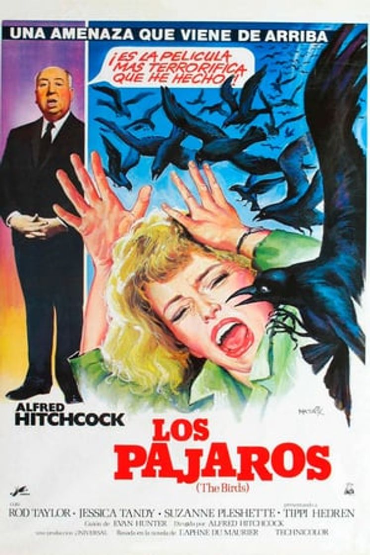 Movie Los pájaros