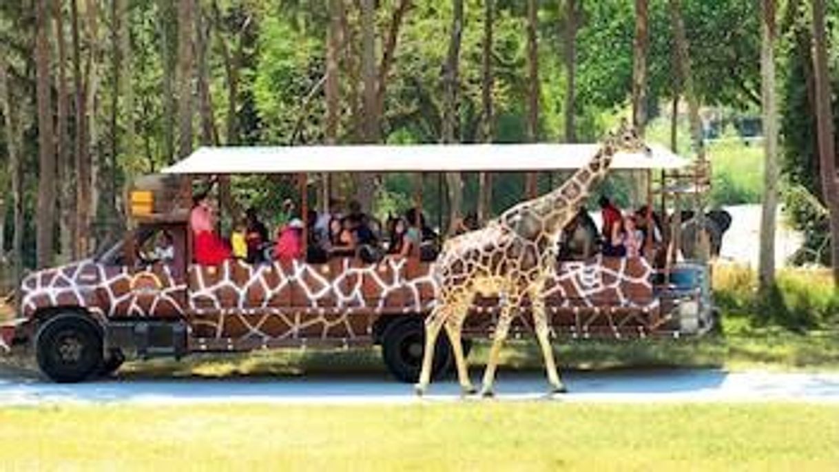 Lugar Zoológico Guadalajara