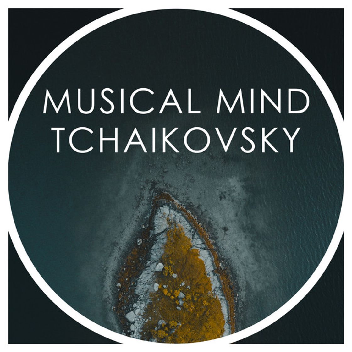 Music The Nutcracker, Op. 71, TH 14 / Act 2: No. 12d Divertissement: Trépak (Russian Dance) - Live at Walt Disney Concert Hall, Los Angeles / 2013