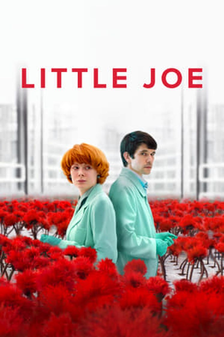 Movie Little Joe