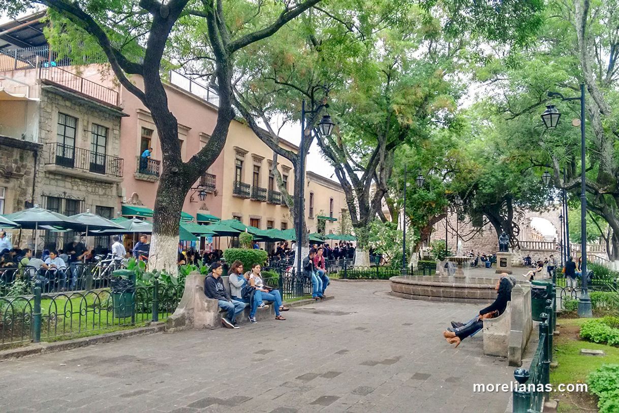 Places Jardín de Las Rosas