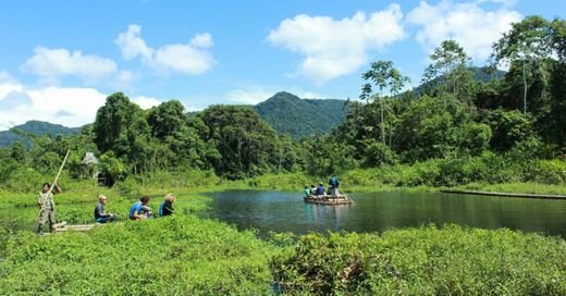 Parque Nacional del Manu