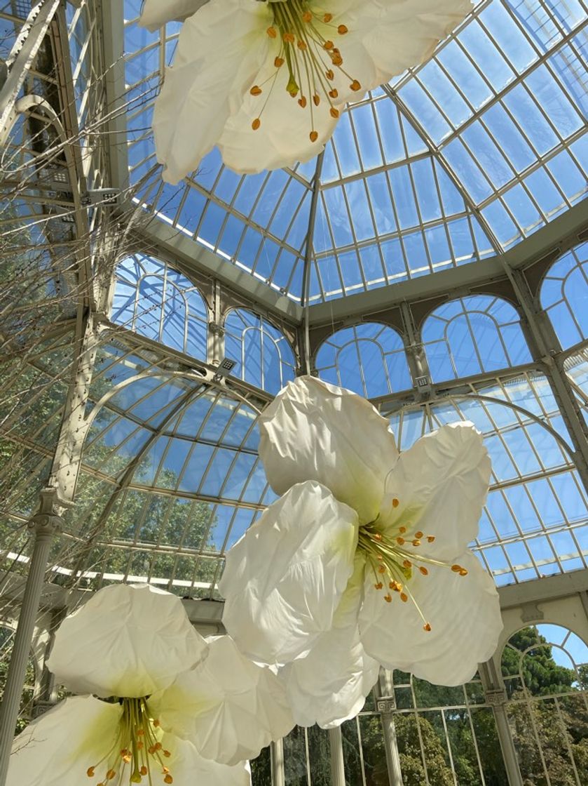 Place Palácio de Cristal de la Arganzuela