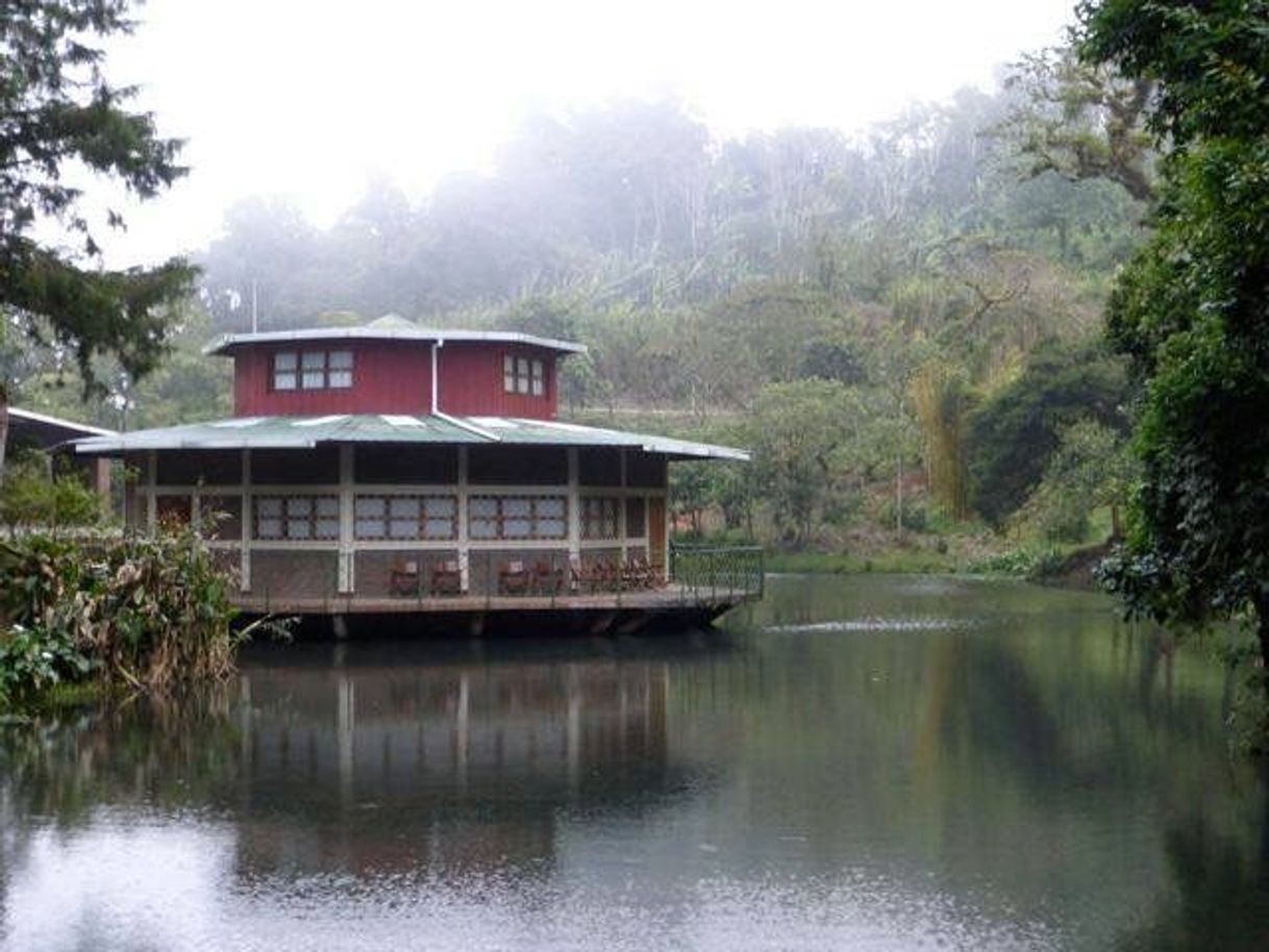 Lugar La Finca Vida Joven Nicaragua