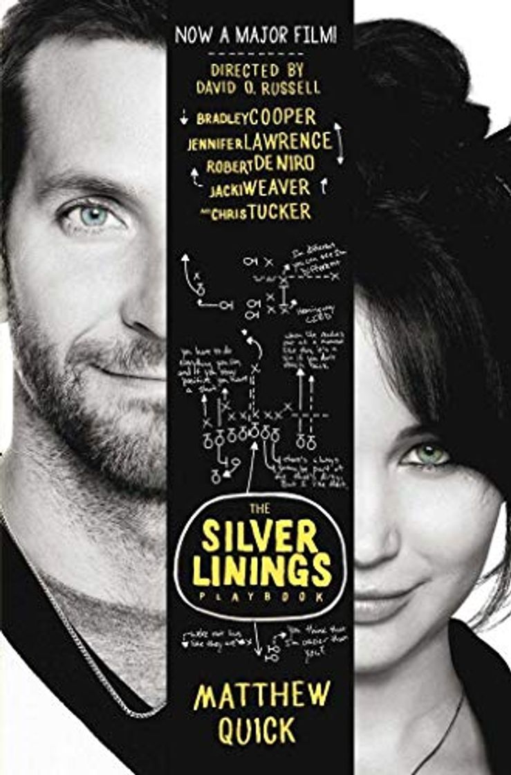 Book The Silver Linings Playbook