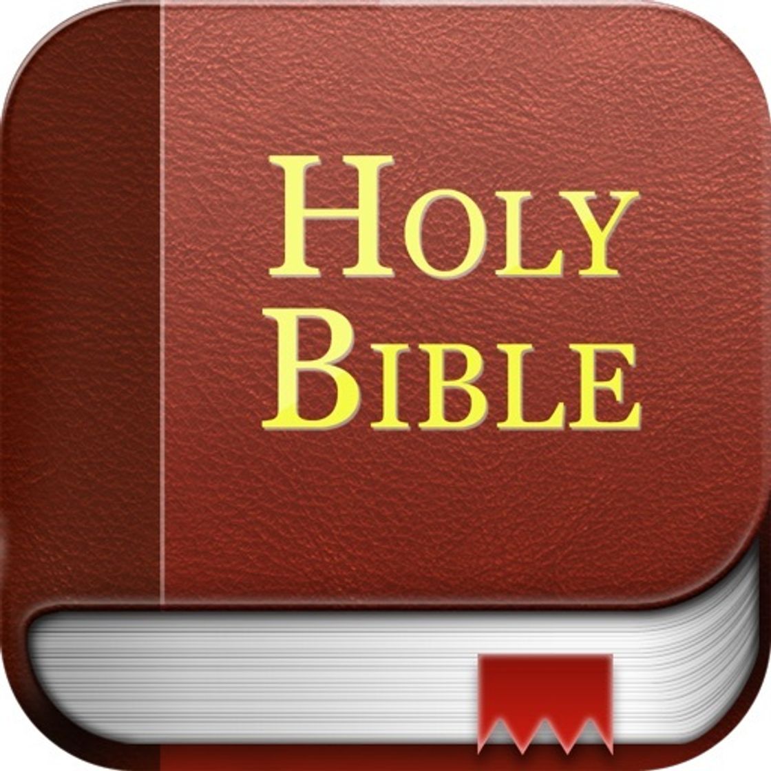 App Holy Bible Mobile