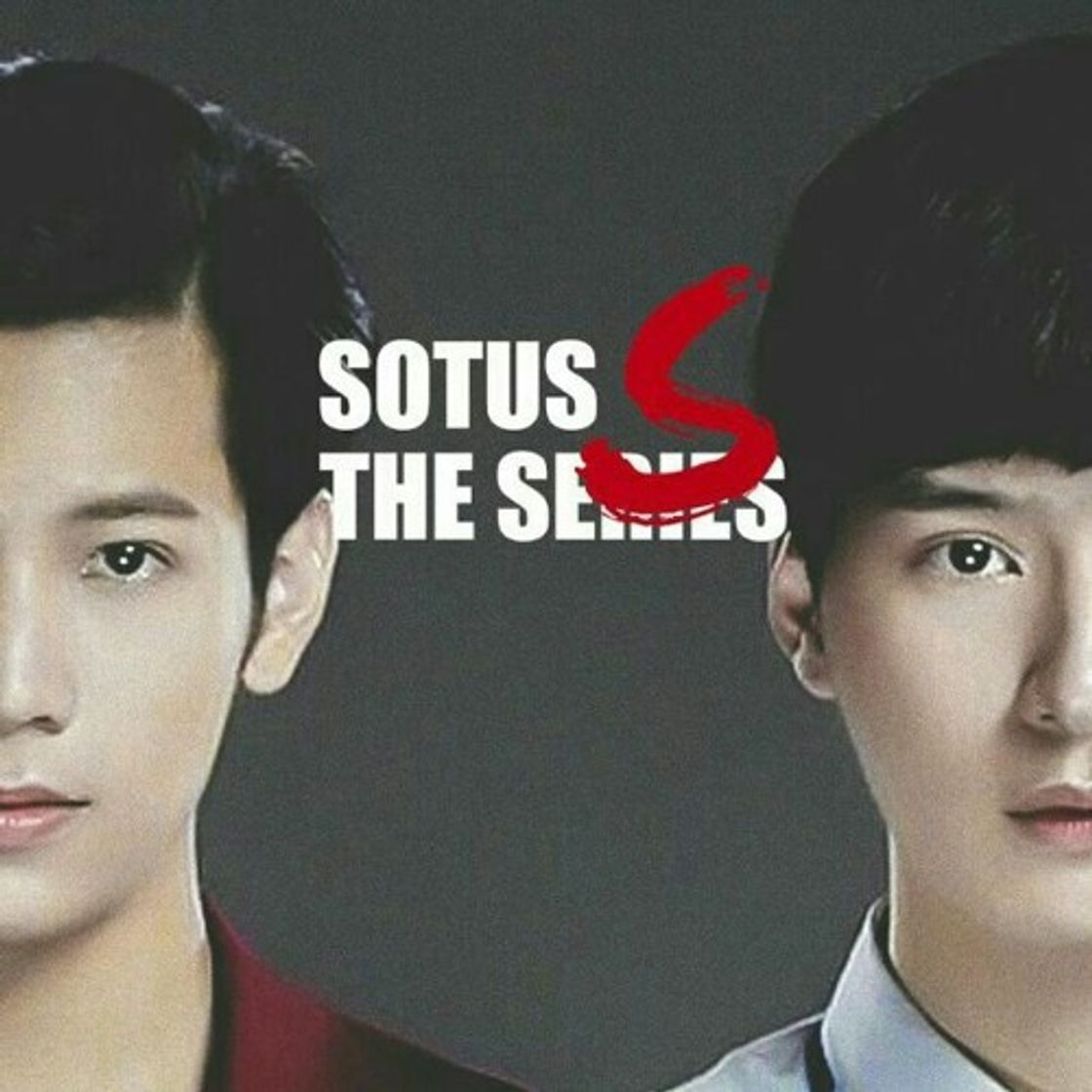 Serie Sotus S : the series 