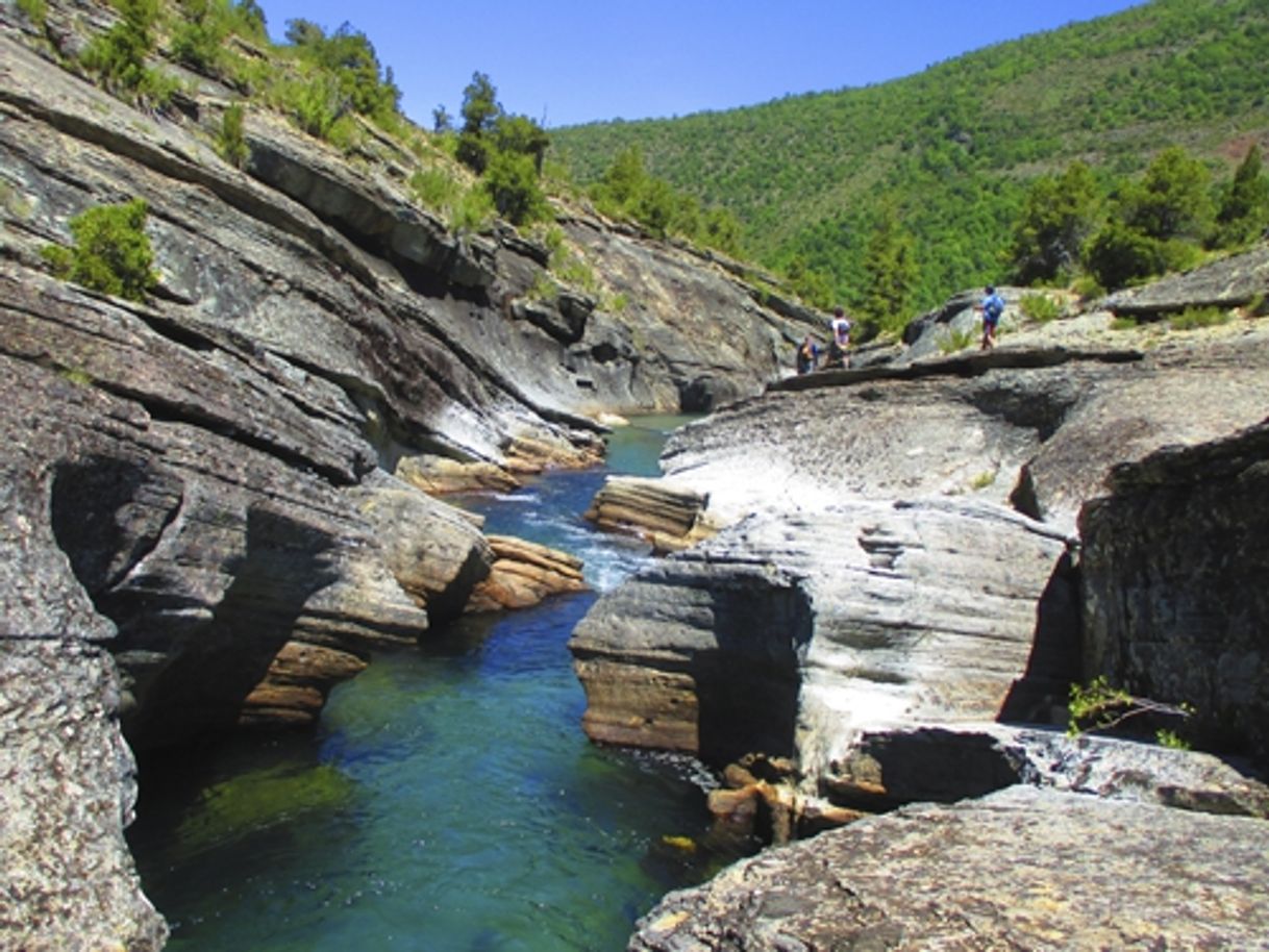 Lugares Reserva nacional Ñuble