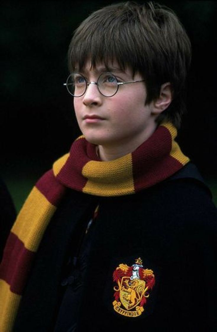 Social Harry Potter 