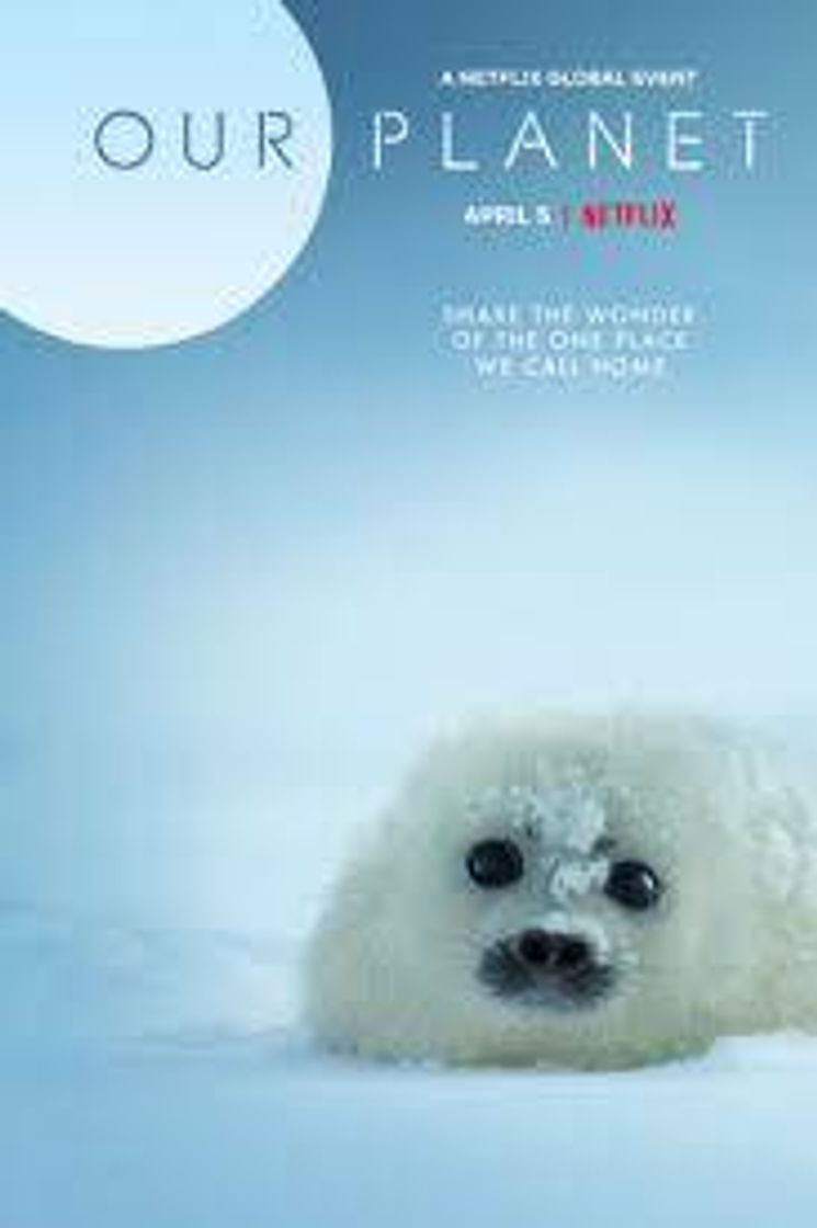 Serie Our Planet | Netflix 