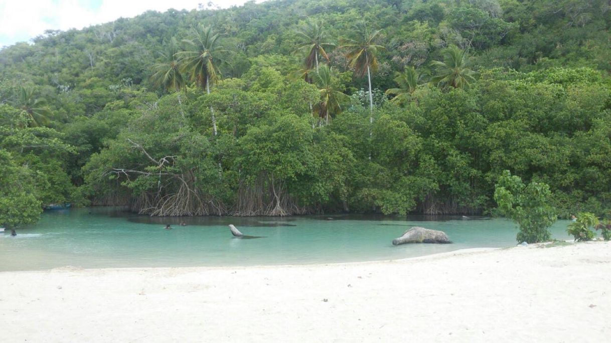 Place Las Galeras