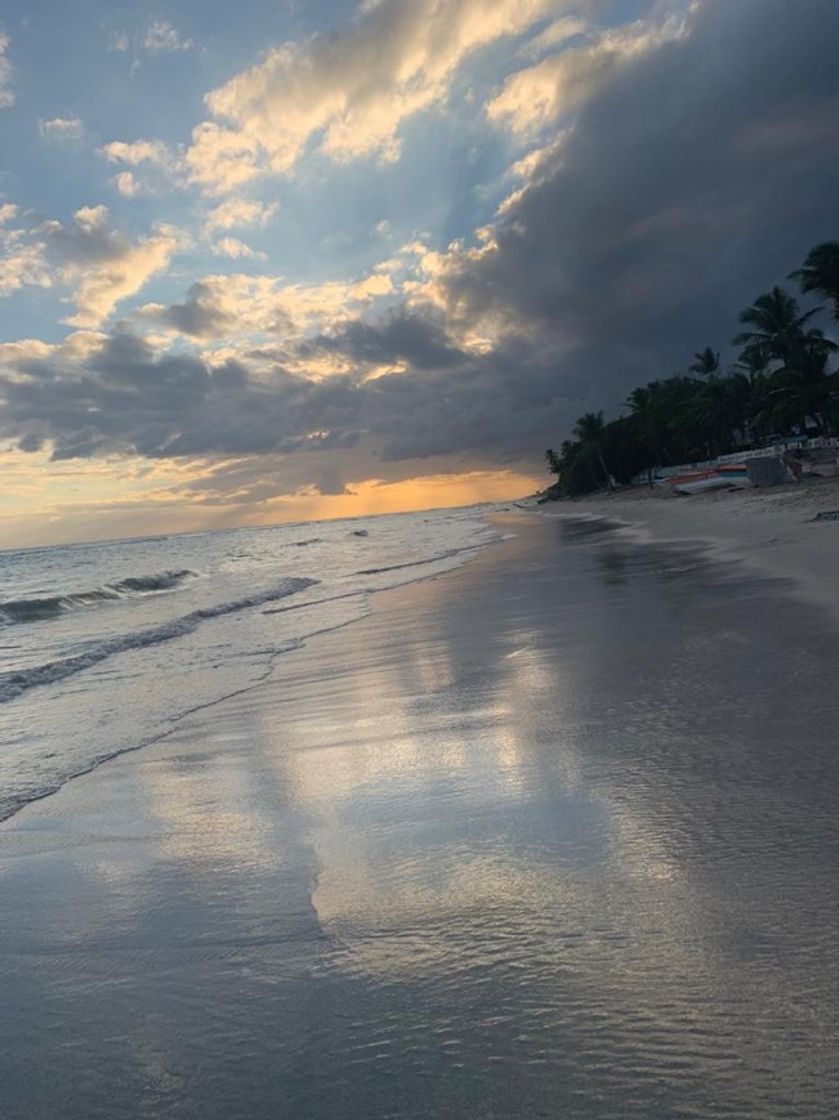 Lugar Playa Guayacanes