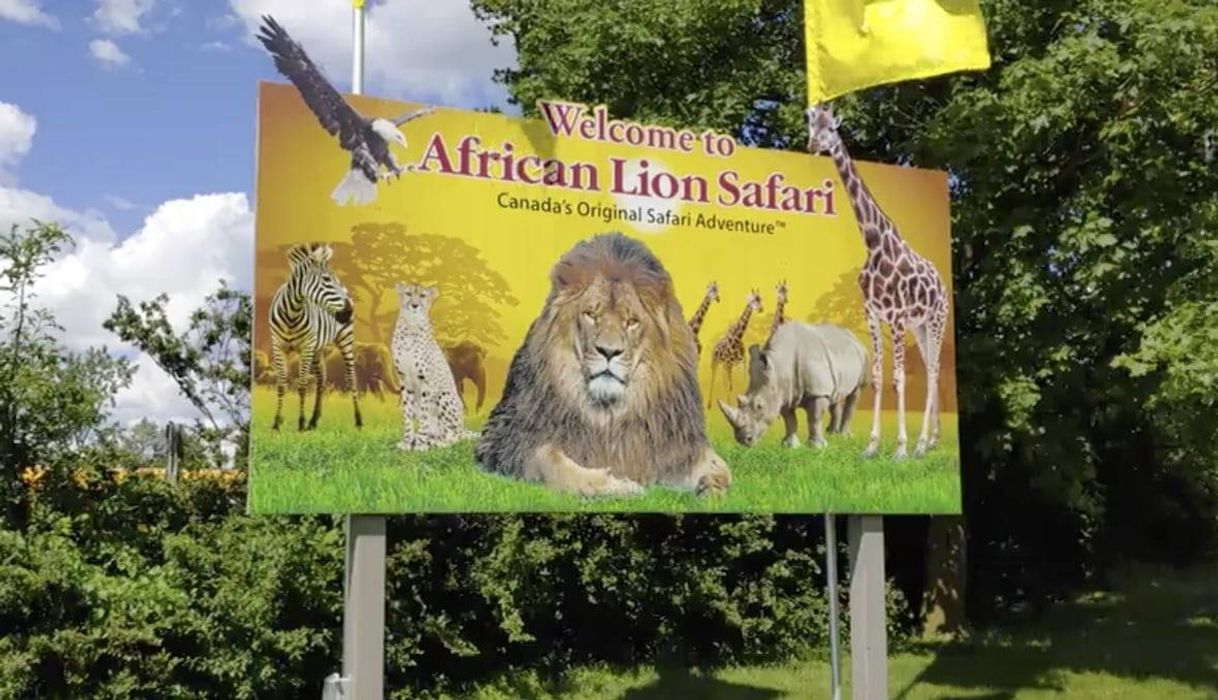 Place African Lion Safari