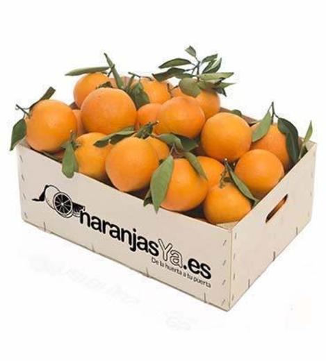 Naranjas de mesa de Valencia 5kg