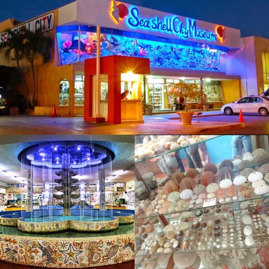 Place Sea Shell City - Museo de Conchas Mazatlán 