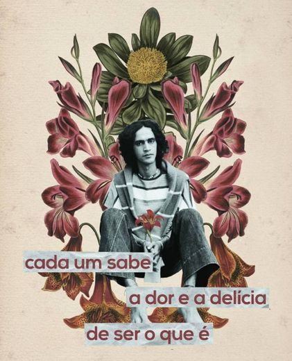 Caetano Veloso + Dom de Iludir