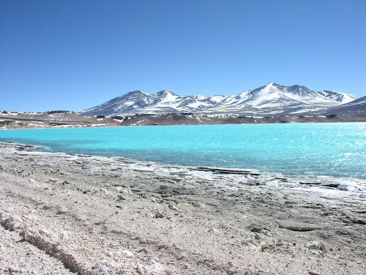 Moda Antofagasta de la Sierra 