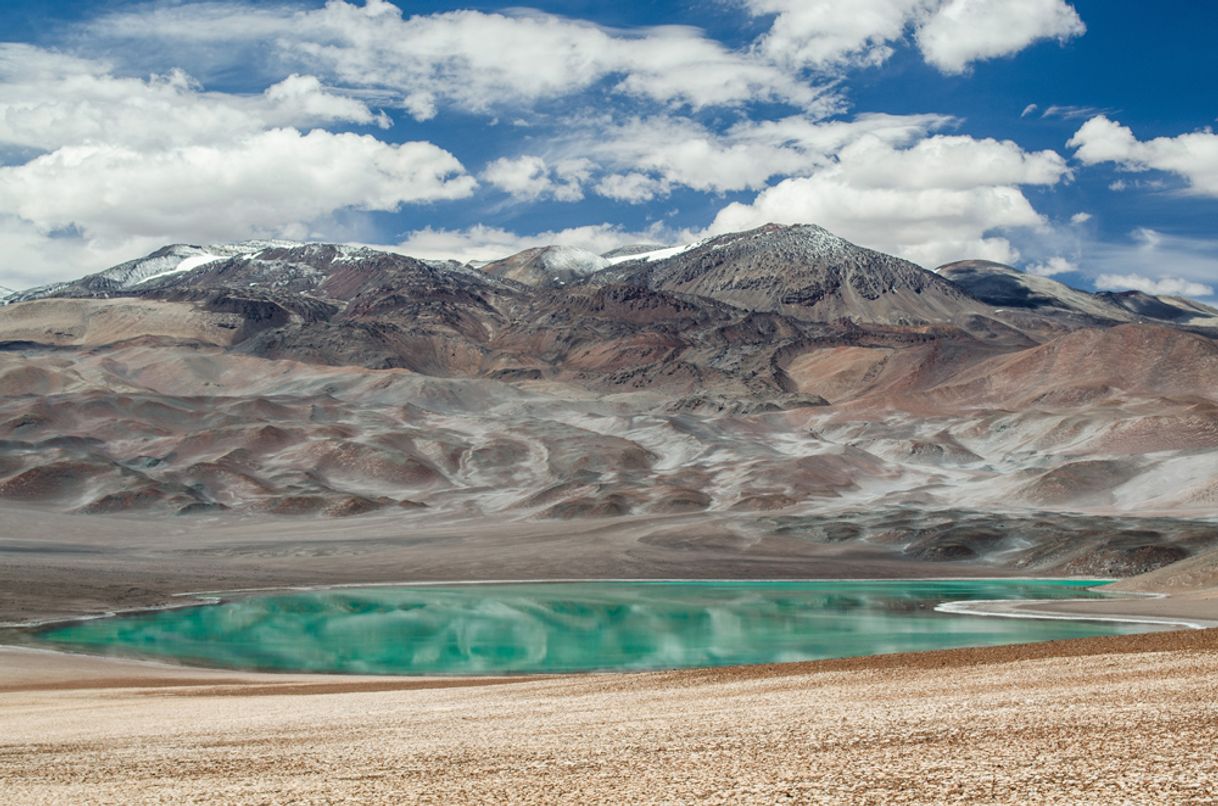 Moda Lagunas de la puna 