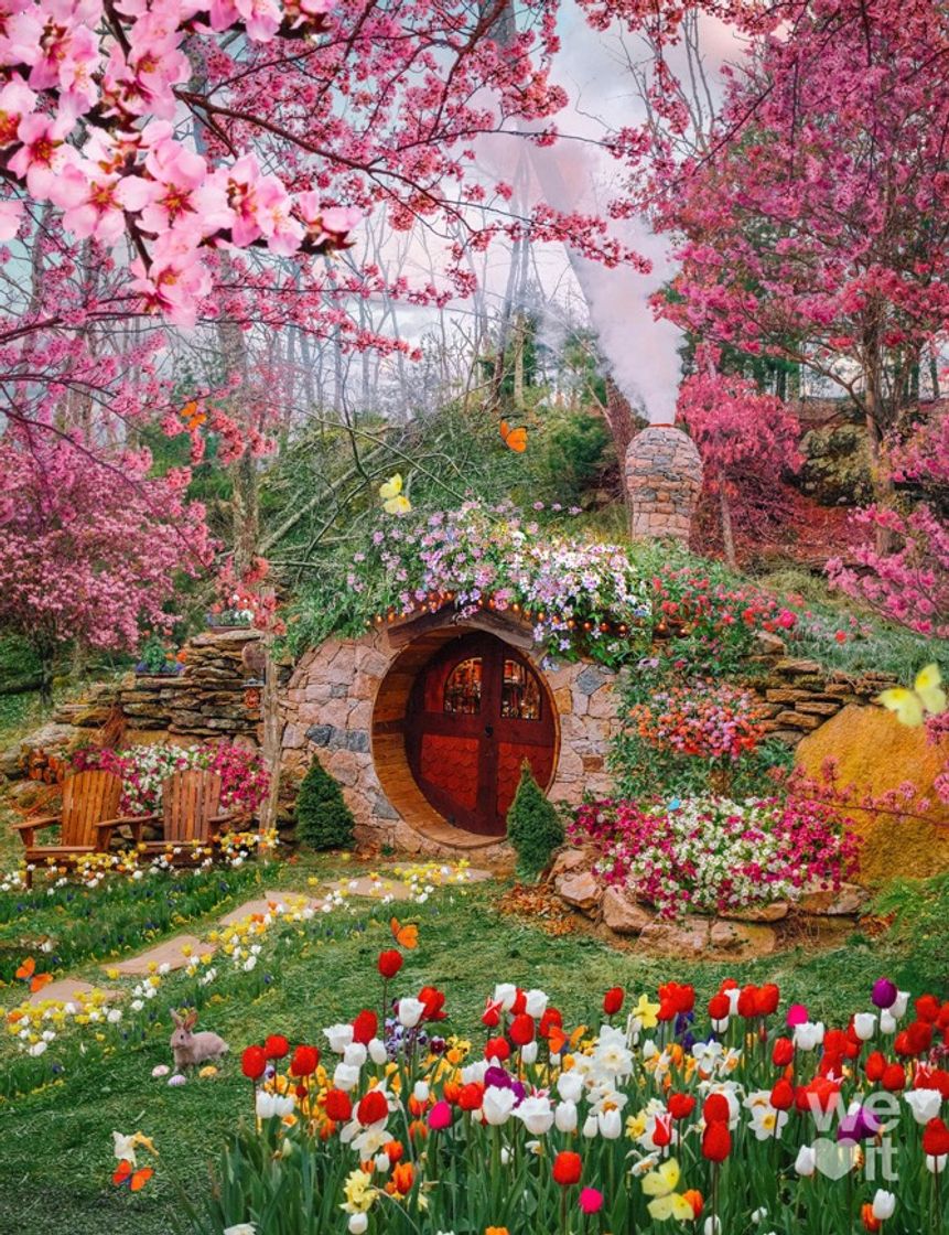 Social 🌸House Pink🌸