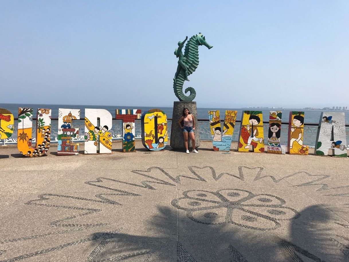 Place Puerto vallarta malecon