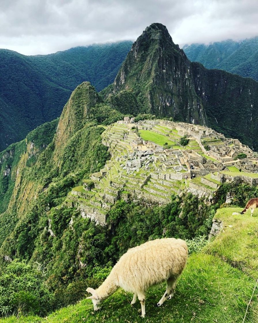 Place Machu Picchu