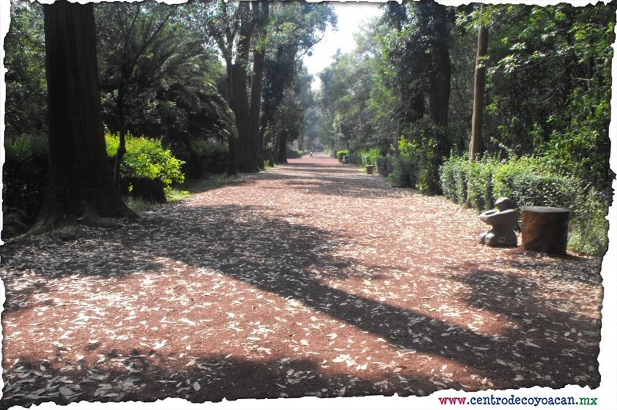 Place Viveros de Coyoacán