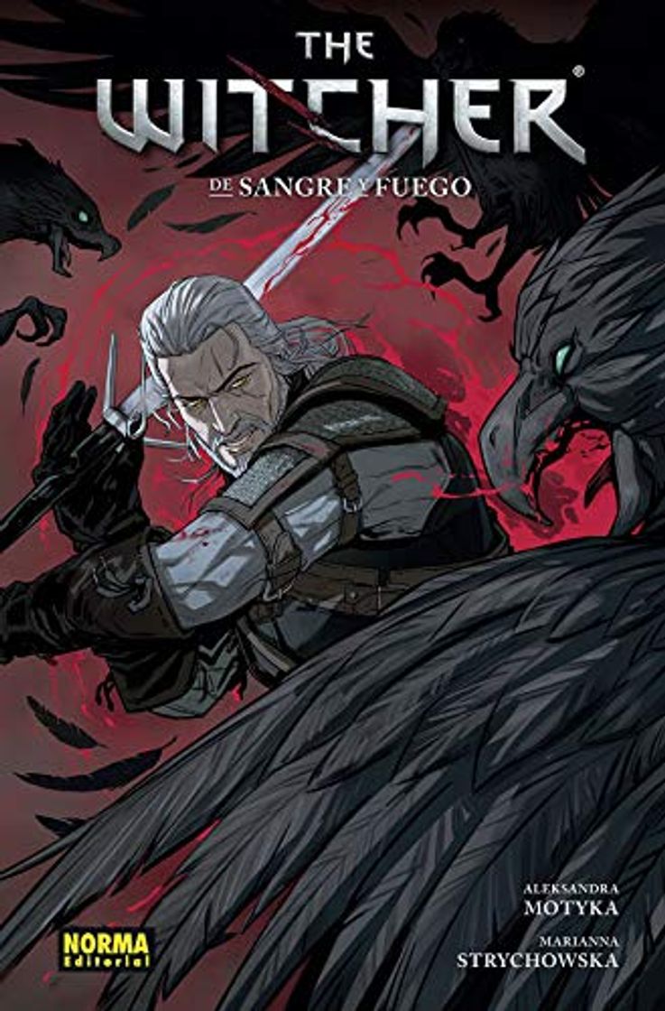 Libro The Witcher 4