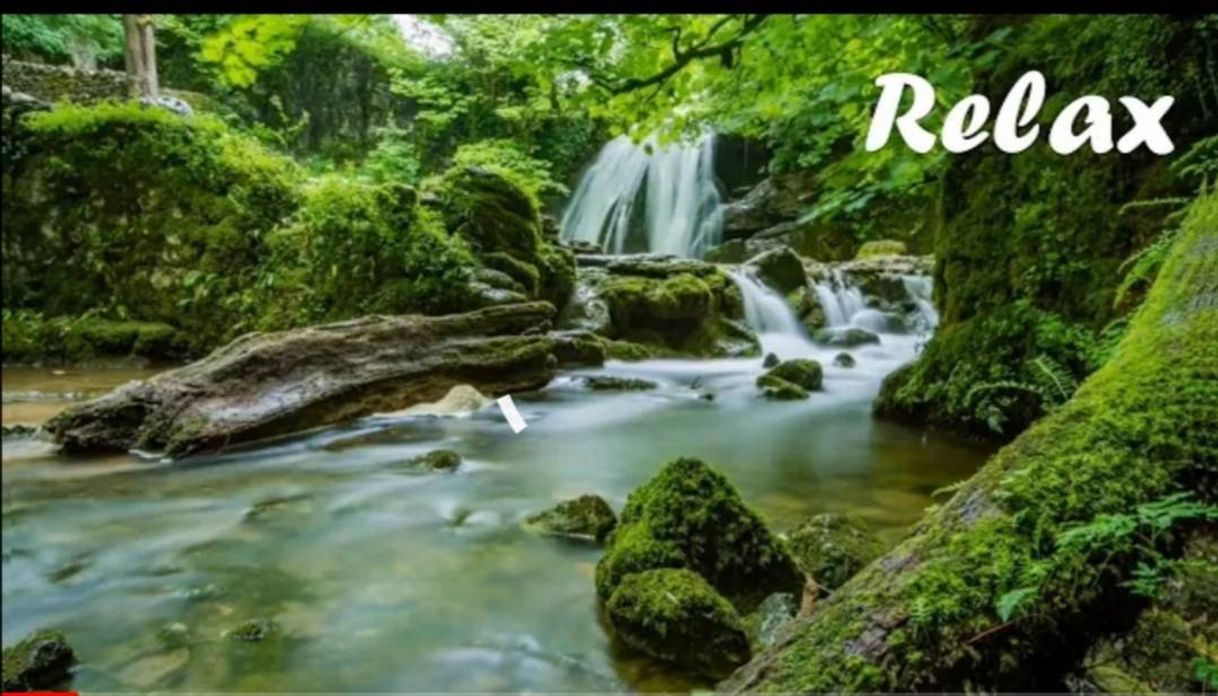 Social Beautiful relaxing music - YouTube