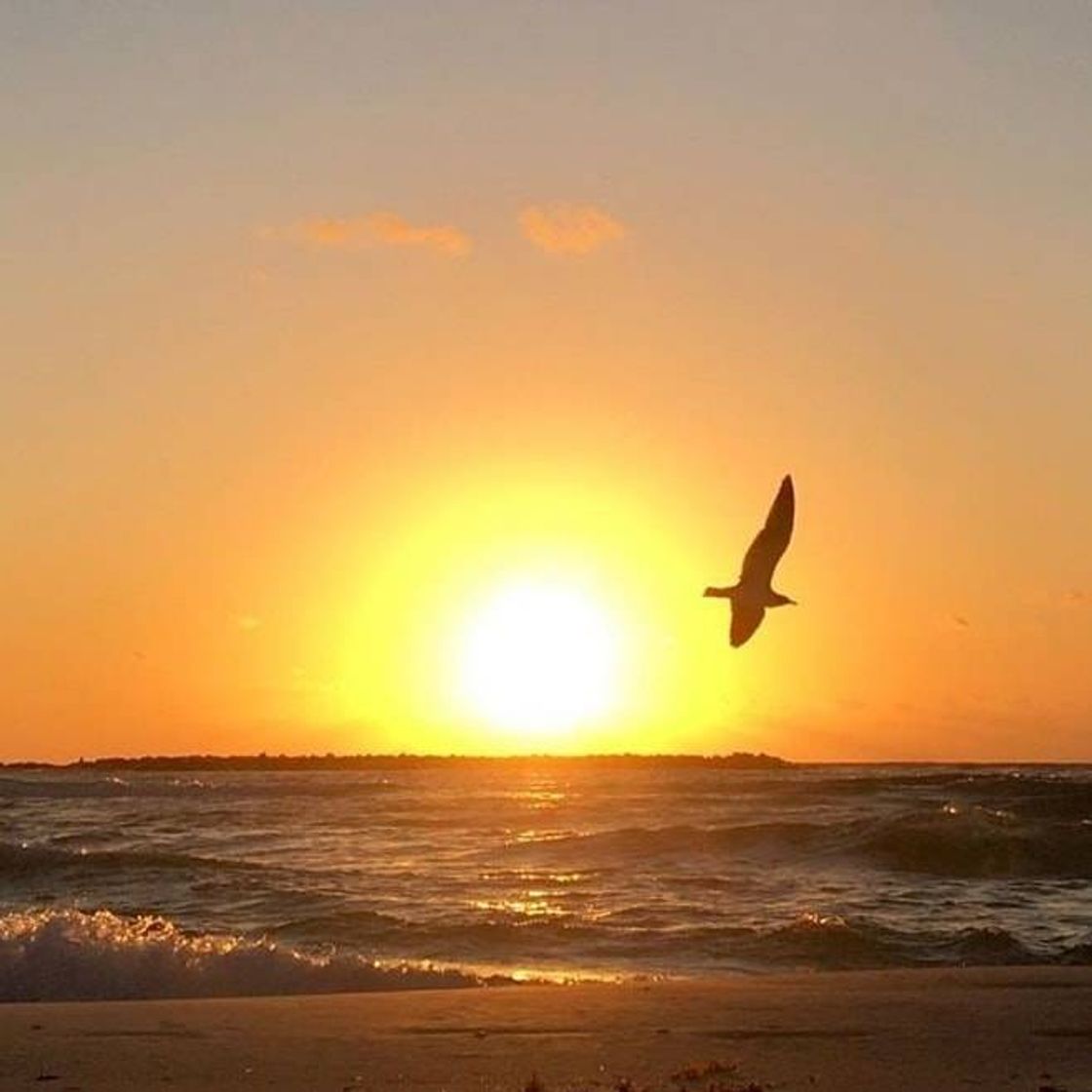 Social Love and Soul Music Therapy - YouTube