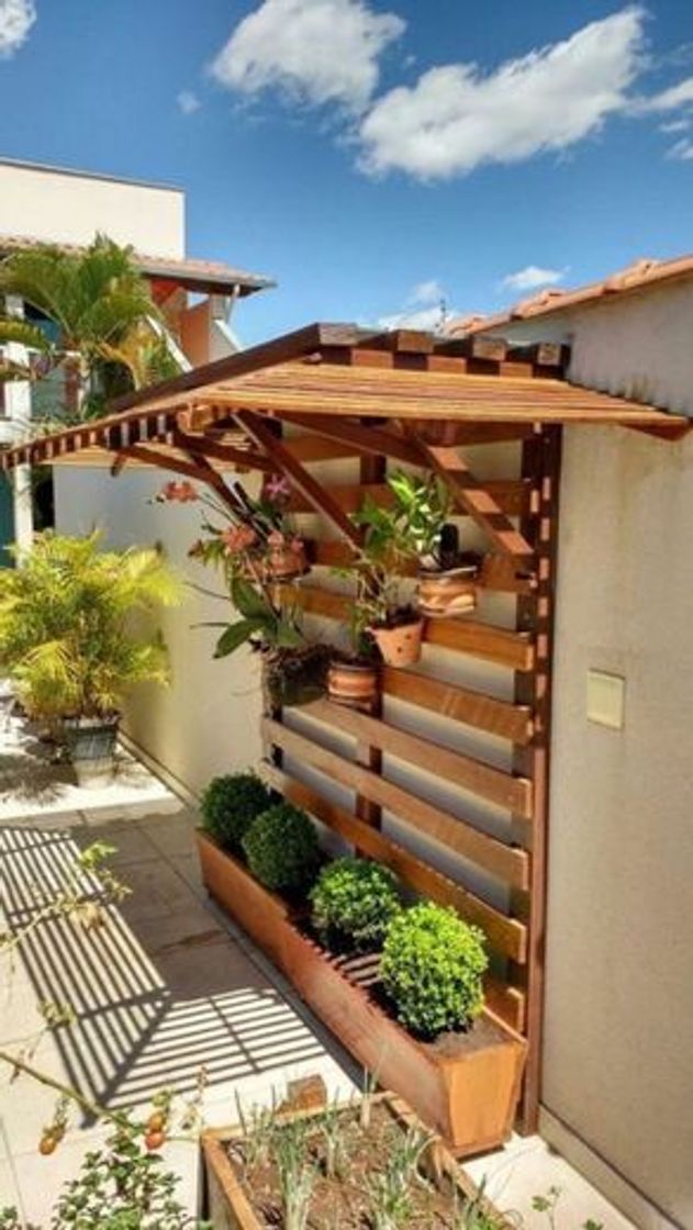 Social Jardim 