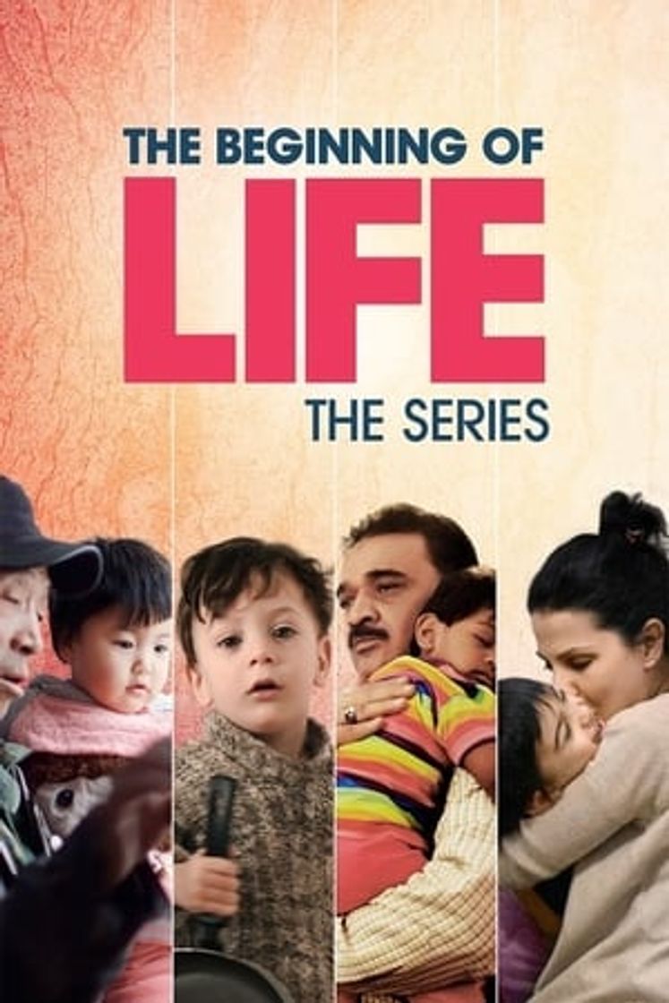 Serie O Começo da Vida, Série