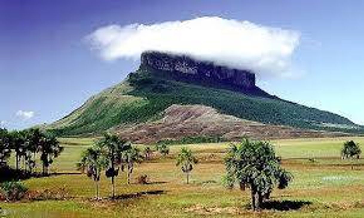 Lugares LA GRAN SABANA