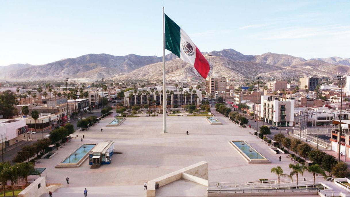 Place Plaza Mayor Torreón