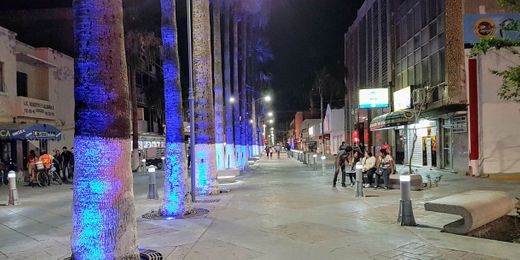 Avenida Morelos