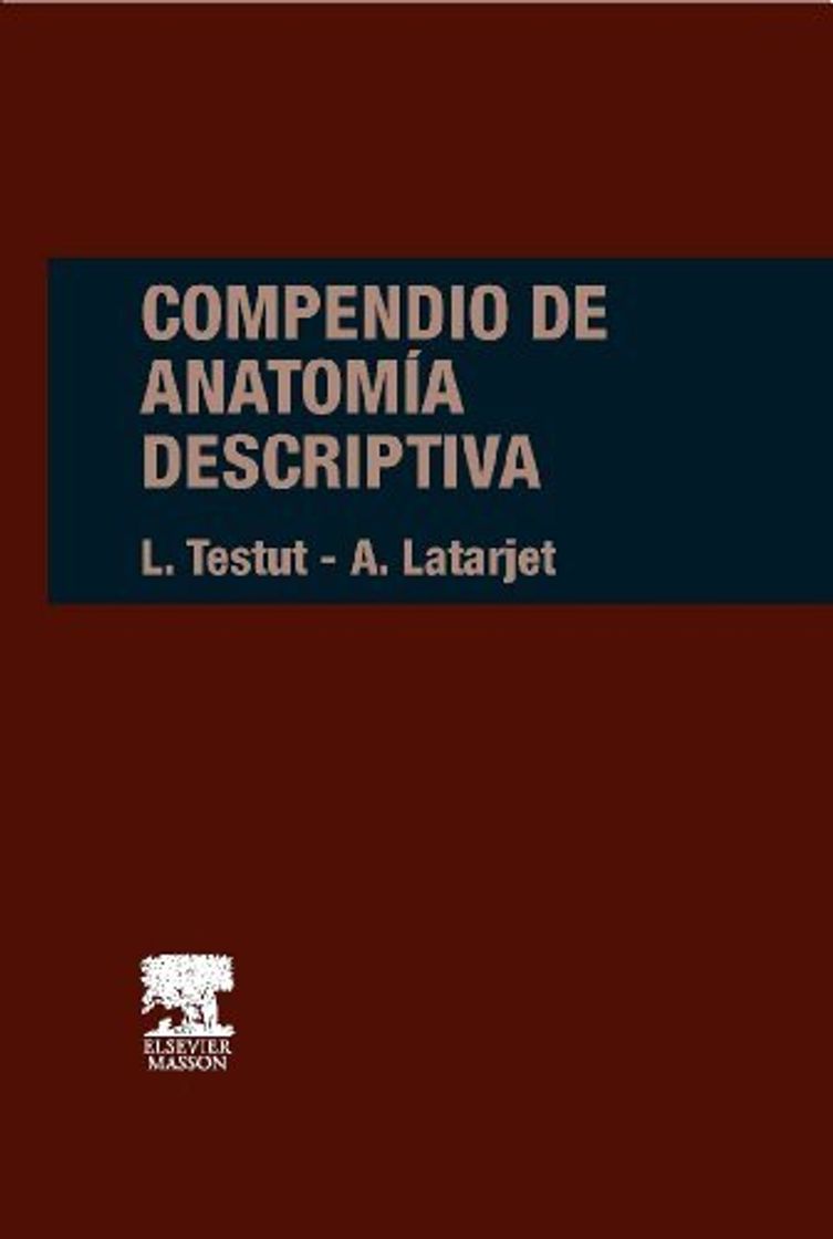 Libro Compendio de anatomia descriptiva