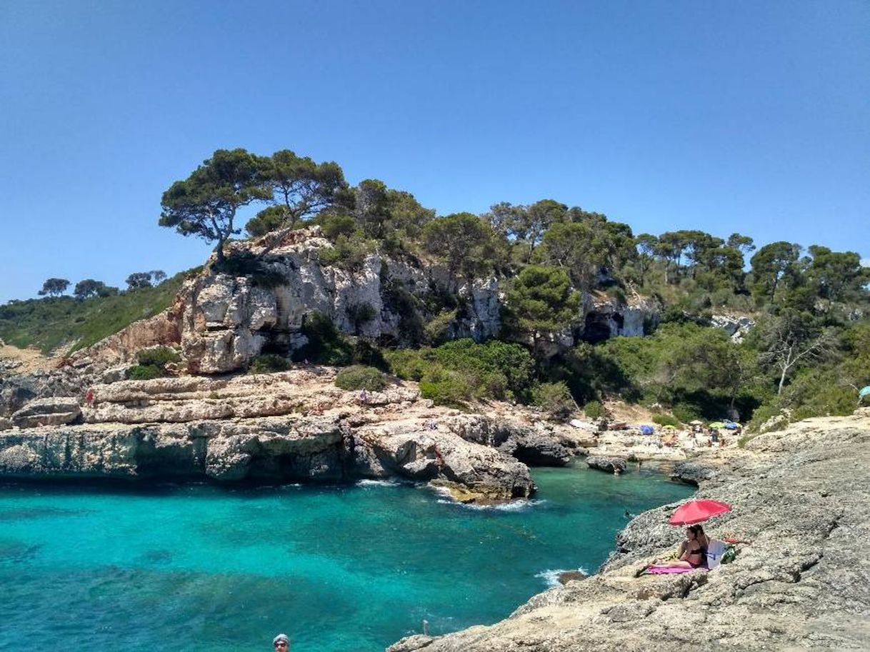 Lugar Portocolom