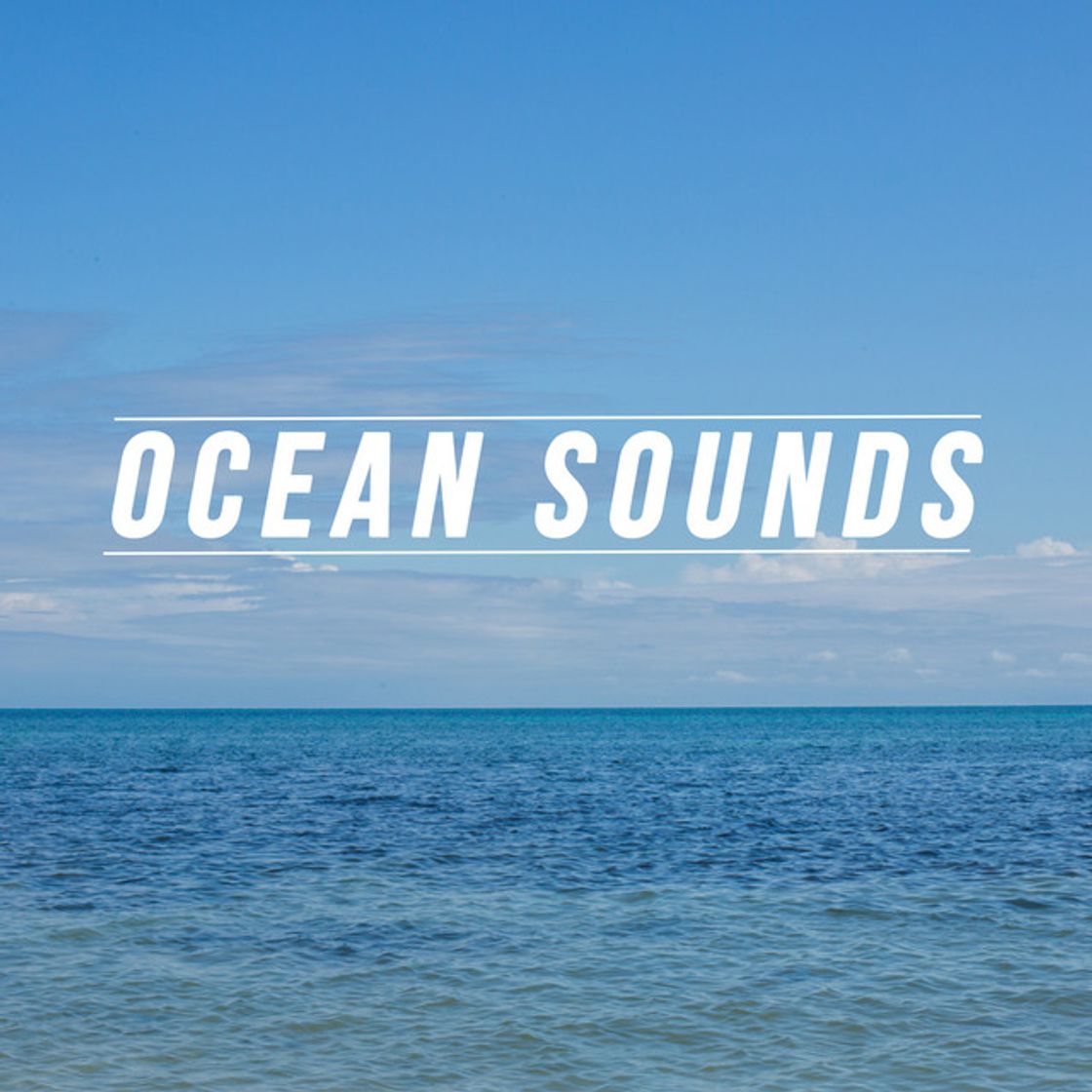 Music Oceanic Calmness