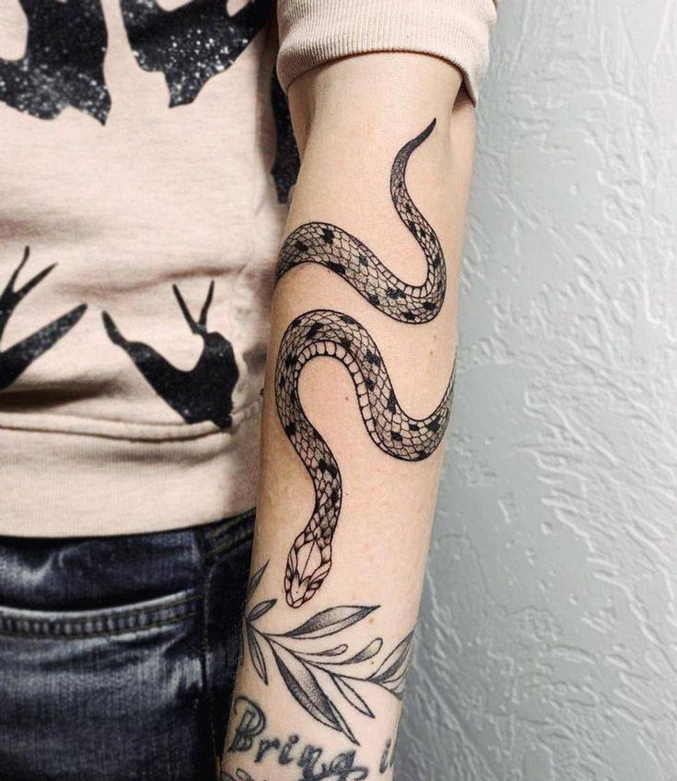 Moda Inspiração para tatuagem 🐍