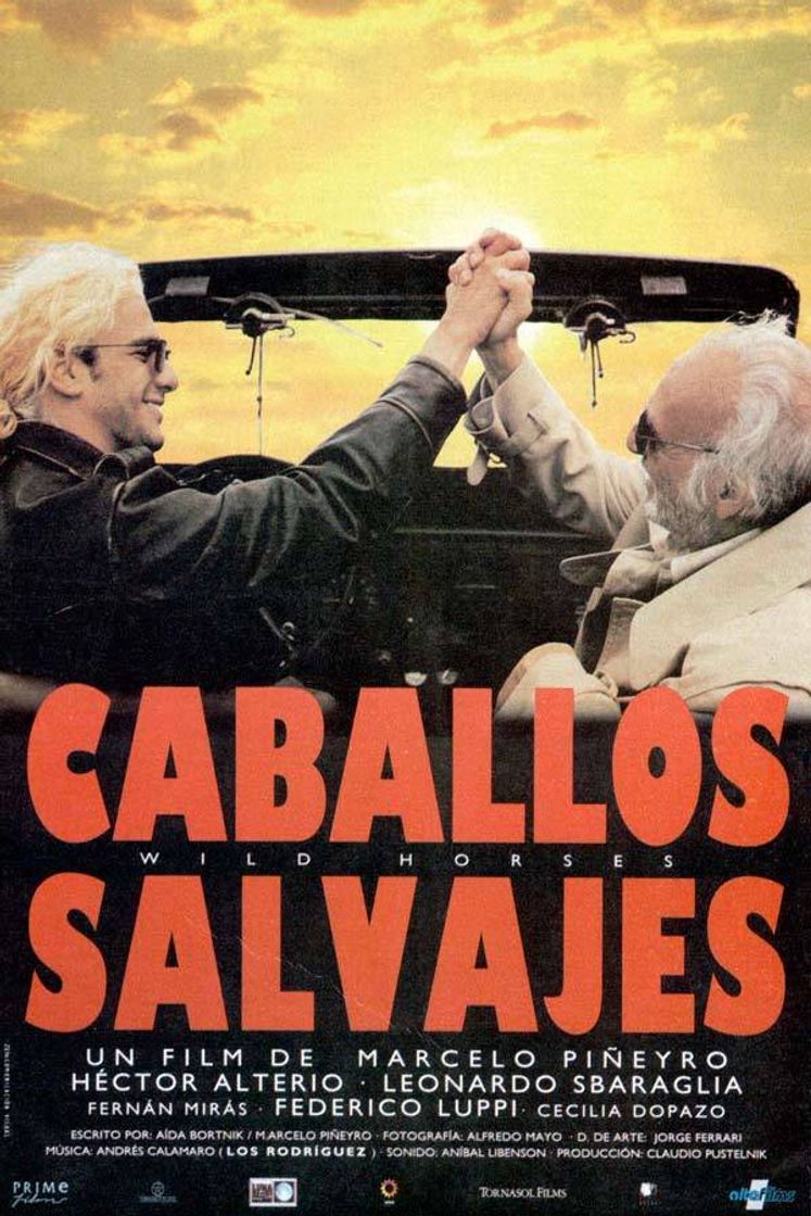 Película Caballos salvajes