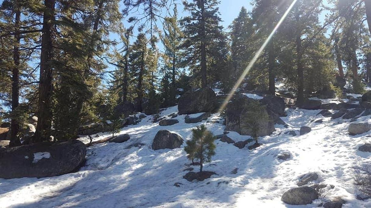 Lugar Parque Nacional Sierra de San Pedro Mártir