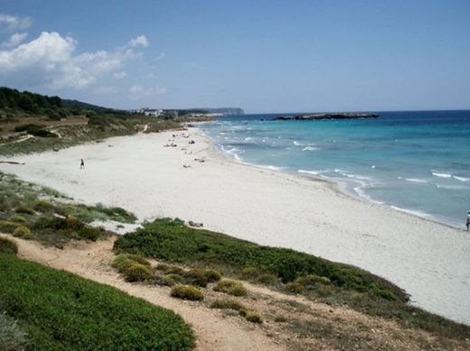 Playa Santo Tomás