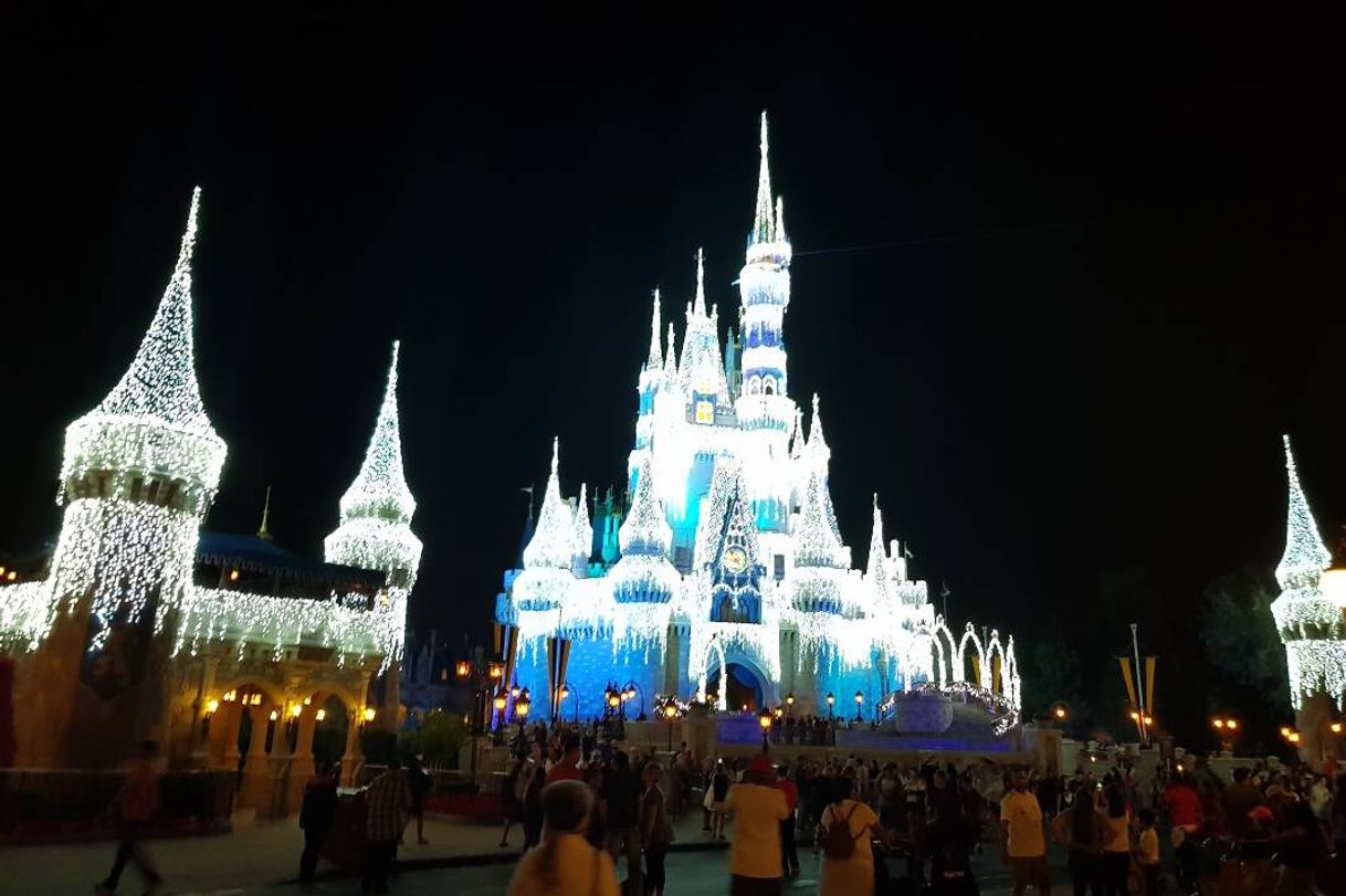 Place Magic Kingdom Park