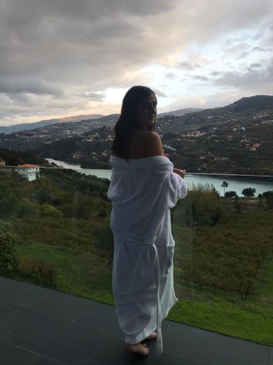 Douro Palace Hotel Resort & Spa