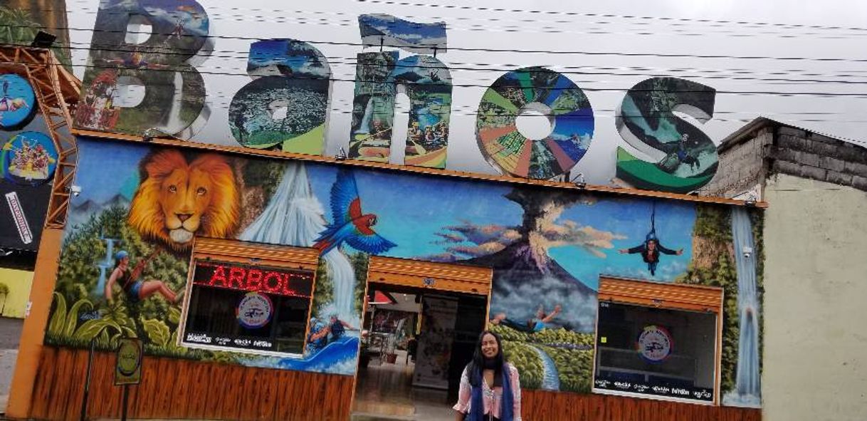 Place Baños De Agua Santa