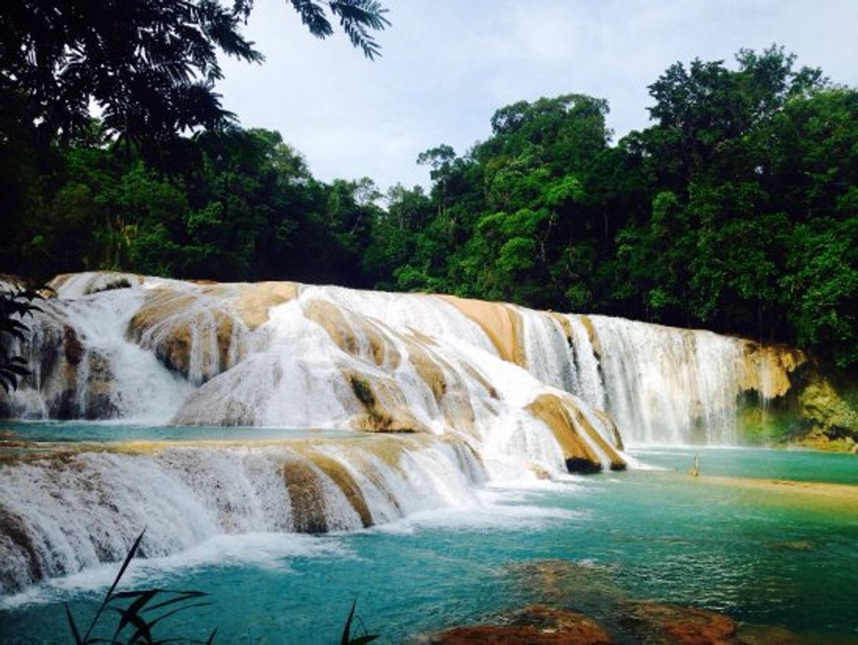 Lugar Cascadas De Agua Azul Chiapas