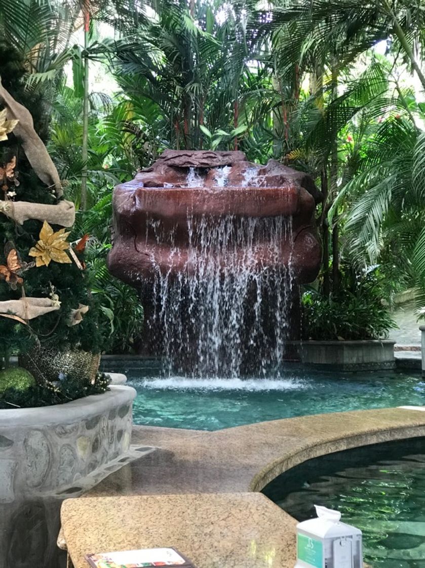 Lugar Baldi Hot Springs Resort Hotel & Spa