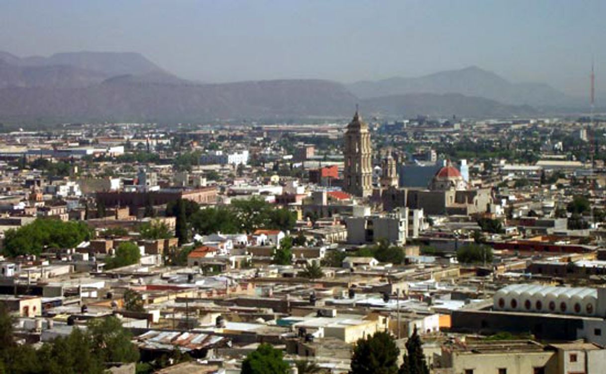 Place Saltillo