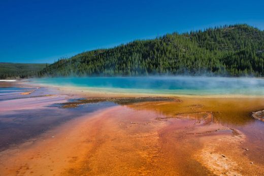 Parque Nacional Yellowstone